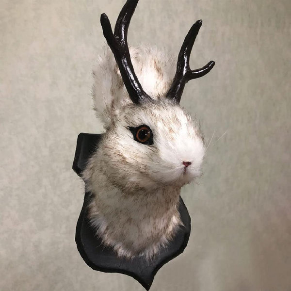 Red Barrel Studio® Antlers Rabbit Wall Décor Wayfair